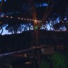 Percorso tra gli alberi illuminato da luci appese, al crepuscolo, in una foresta.