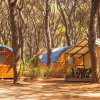 Piccole cabine in legno e una tenda, immerse in una pineta.