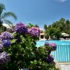 Piscina con cespugli di fiori lilla.