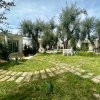 Giardino con alberi e un vialetto lastricato.