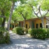 Alloggi immersi nel verde con vialetti e alberi attorno.