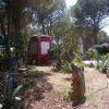 Un piccolo edificio rosso tra alberi e piante, con un sentiero in terra.