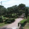 Sentiero sterrato circondato da siepi e alberi verdi in un parco.