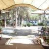 Un'area esterna con panchine e ombrelloni, circondata da alberi e roulotte sullo sfondo.
