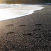 Impronte sulla spiaggia pietrosa con il mare al tramonto.