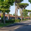 Un vialetto alberato con case basse e tetti rossi su un lato.