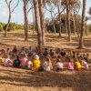 Un gruppo di persone sedute in cerchio tra alberi alti in una radura.