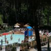 Piscina all'aperto con persone che nuotano, circondata da alberi e lettini.
