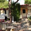 Un bungalow immerso nel verde con un caminetto esterno e un sentiero lastricato.