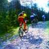 Ciclisti in fila su un sentiero sterrato in un bosco.