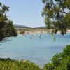 Windsurf su acqua turchese, alberi e spiaggia sabbiosa.