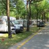 Camper parcheggiati in un'area ombreggiata da numerosi alberi.